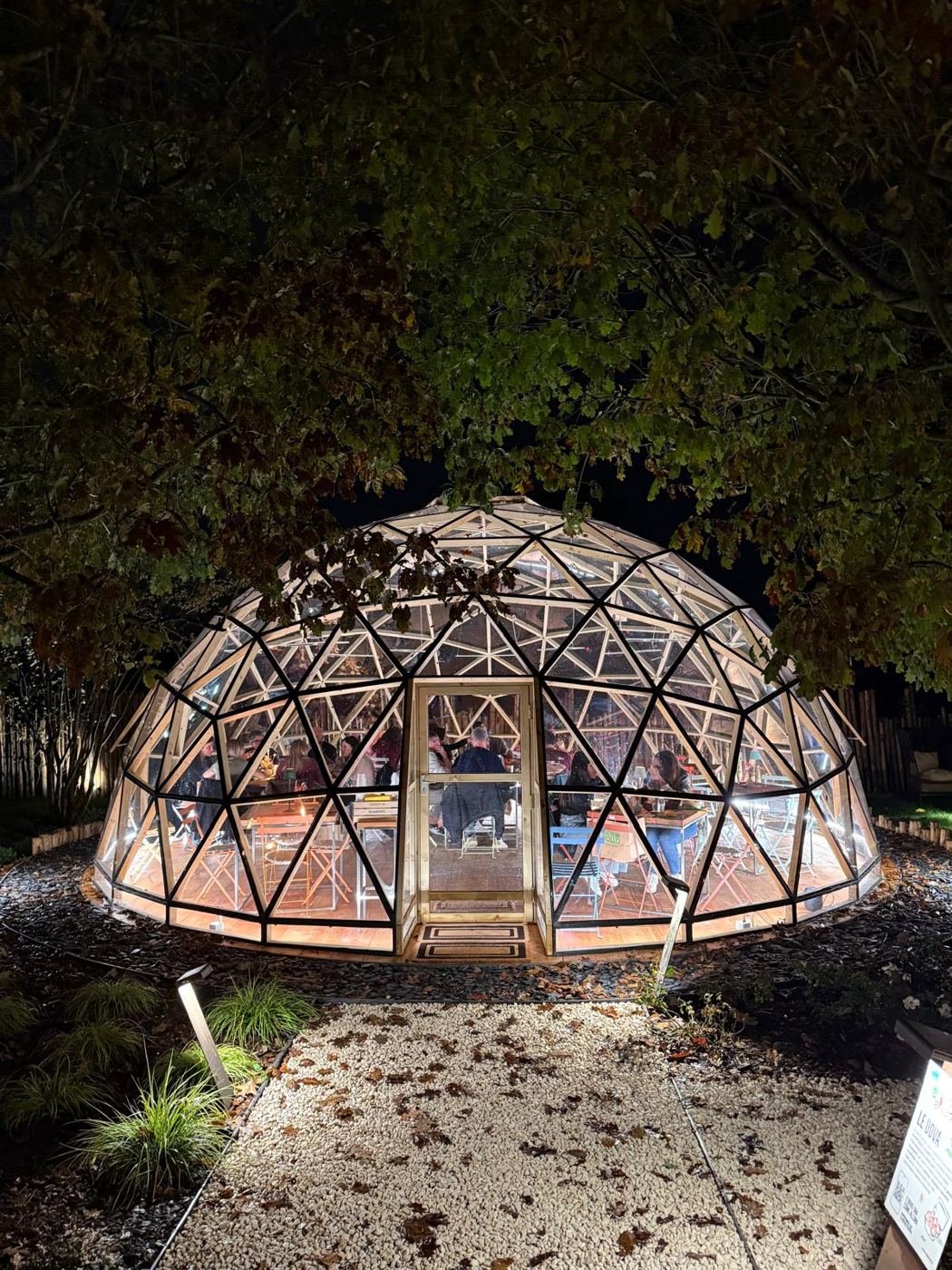 The dome glowing through the leaves after dark